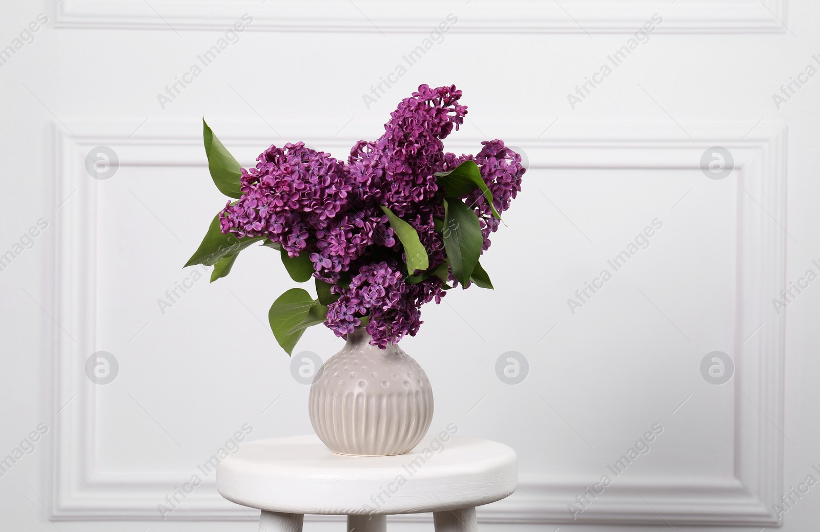 Photo of Beautiful lilac flowers in vase on white table near wall