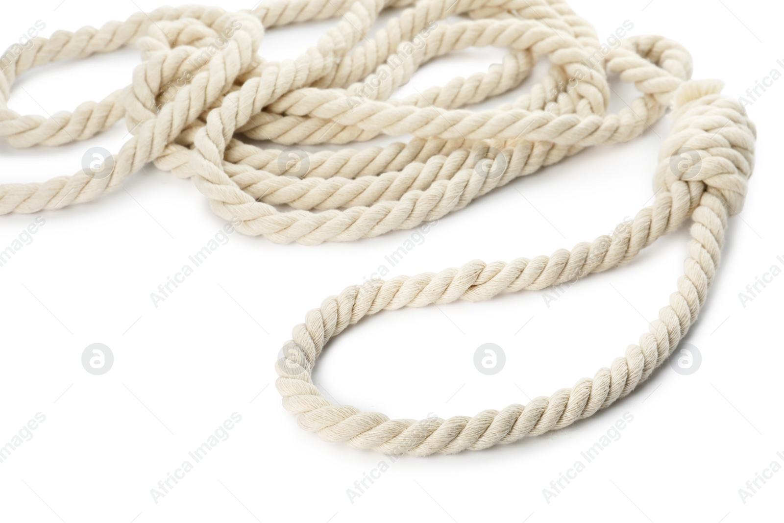 Photo of Rope noose with knot on white background