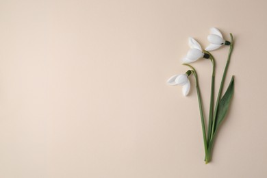Photo of Beautiful snowdrops on beige background, flat lay. Space for text
