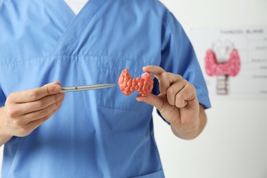 Photo of Endocrinologist showing thyroid gland model in hospital, closeup