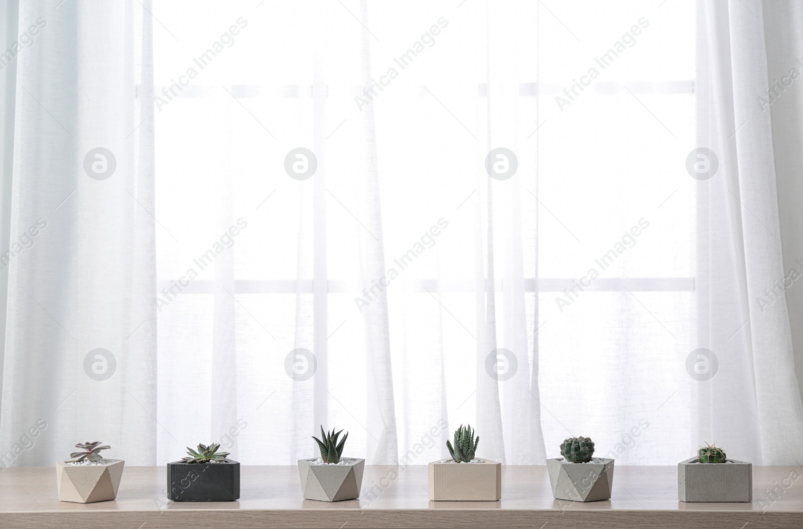 Photo of Composition with different houseplants in pots on window sill, space for text