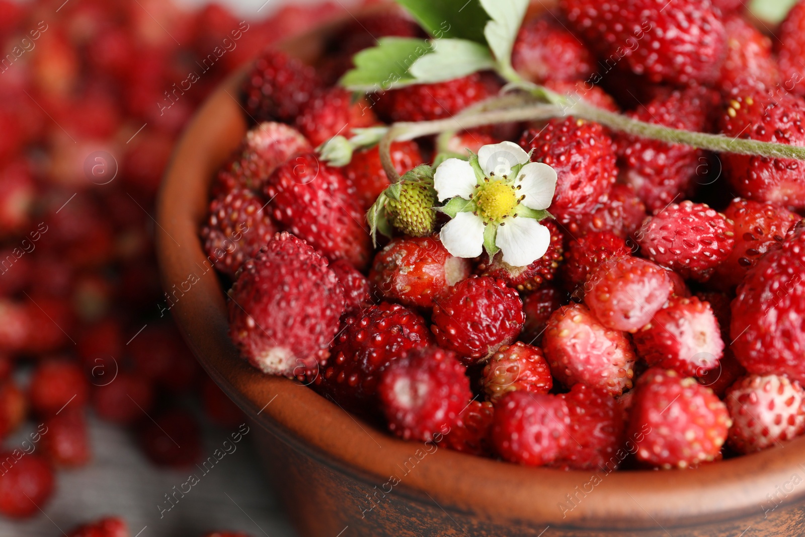 Photo of Fresh wild strawberries and flower in bowl, closeup