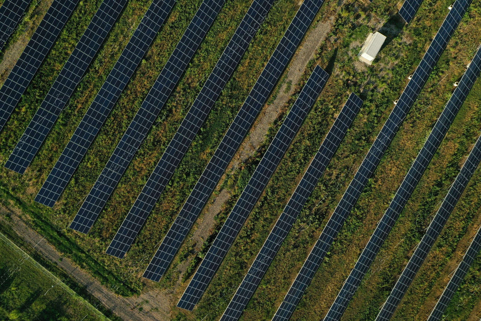 Photo of Solar panels installed outdoors, aerial top view. Alternative energy source