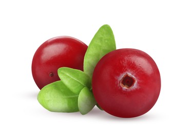 Fresh ripe cranberries with leaves isolated on white