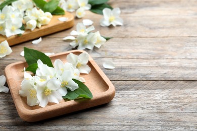 Photo of Plate with beautiful jasmine flowers on wooden table. Space for text
