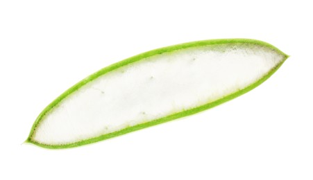 Photo of Green aloe vera slice isolated on white