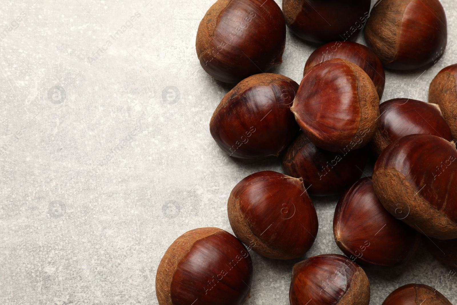 Photo of Roasted edible sweet chestnuts on light grey table, flat lay. Space for text