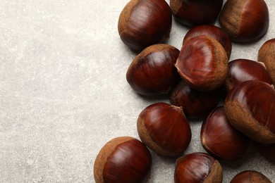 Roasted edible sweet chestnuts on light grey table, flat lay. Space for text