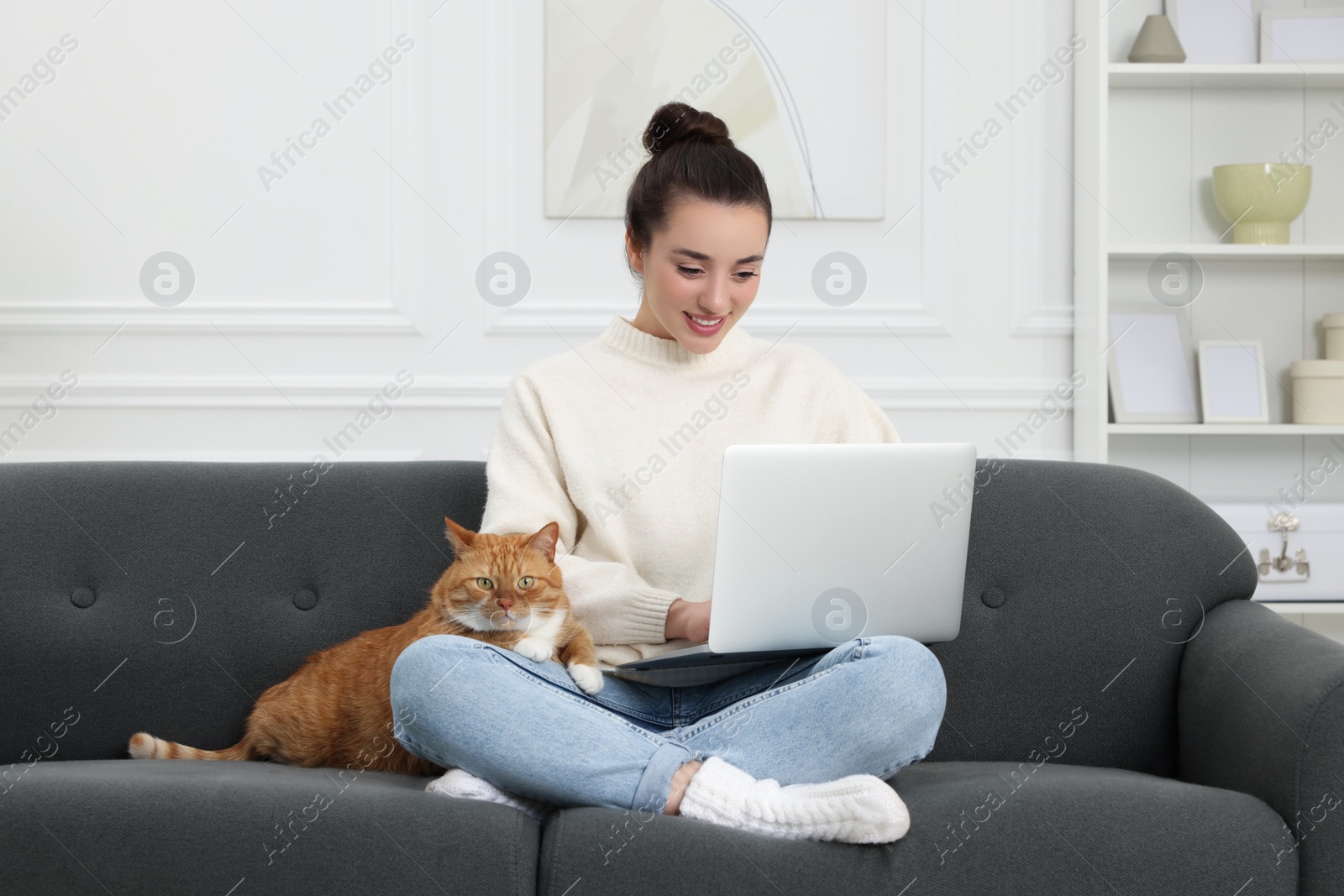 Photo of Woman working with laptop at home. Cute cat sitting on sofa near owner