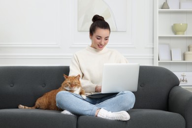 Photo of Woman working with laptop at home. Cute cat sitting on sofa near owner