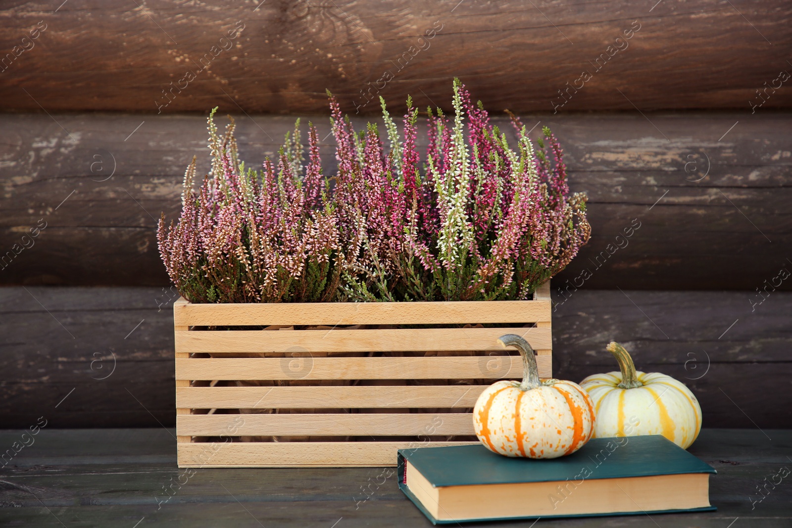 Photo of Beautiful heather flowers in crate, book and pumpkins on table near wooden wall