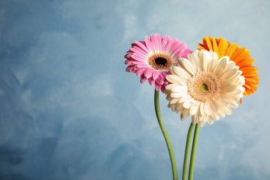 Photo of Bouquet of beautiful bright gerbera flowers on color background. Space for text