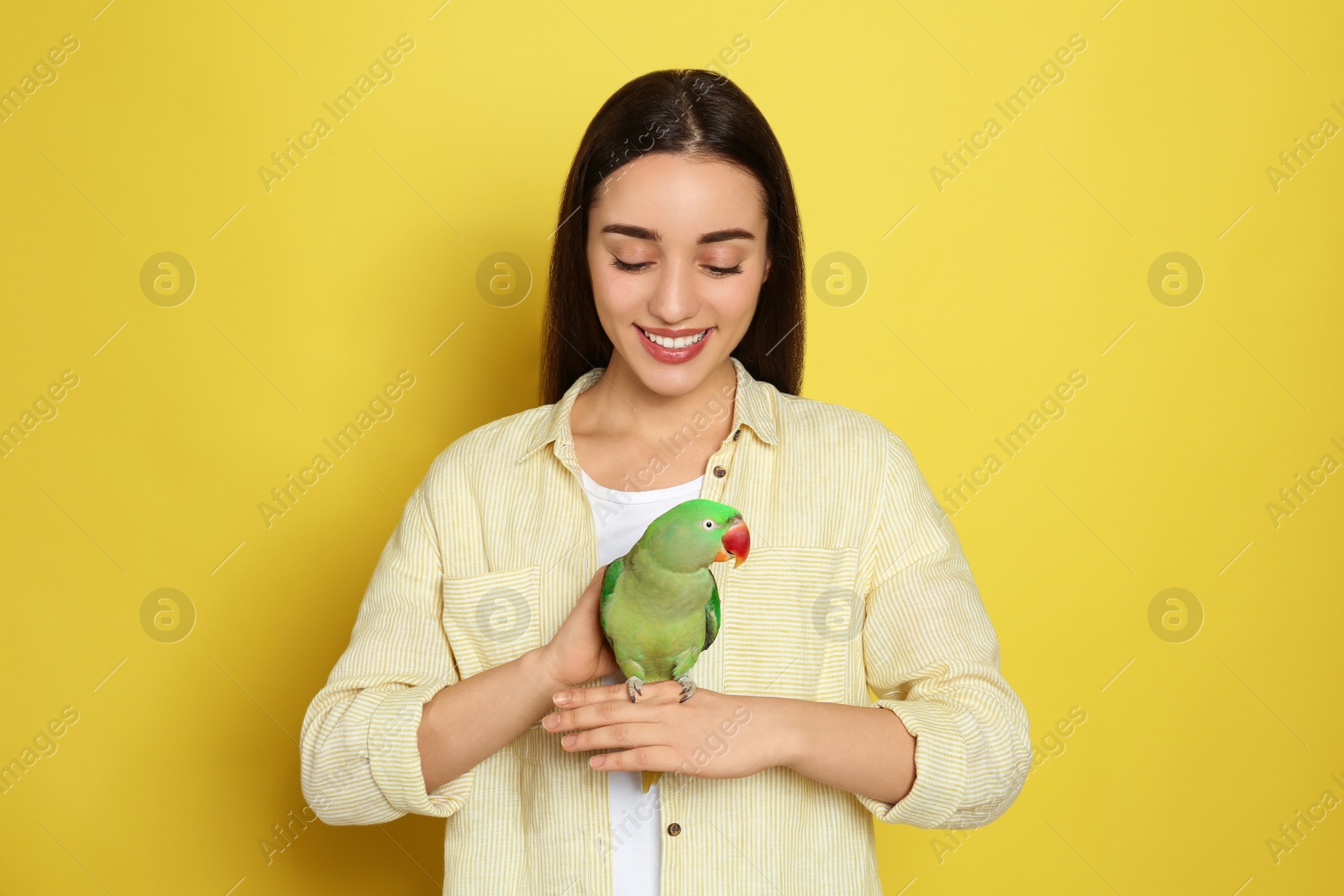 Photo of Young woman with Alexandrine parakeet on yellow background. Cute pet