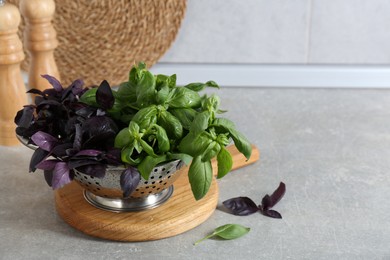 Photo of Metal colander with different fresh basil leaves on grey countertop, space for text