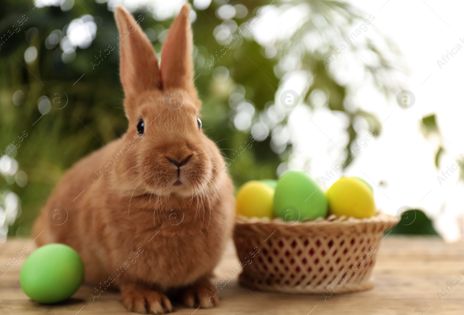 Photo of Cute bunny and basket with Easter eggs on table against blurred background. Space for text