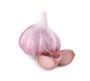 Photo of Fresh raw garlic head and cloves isolated on white