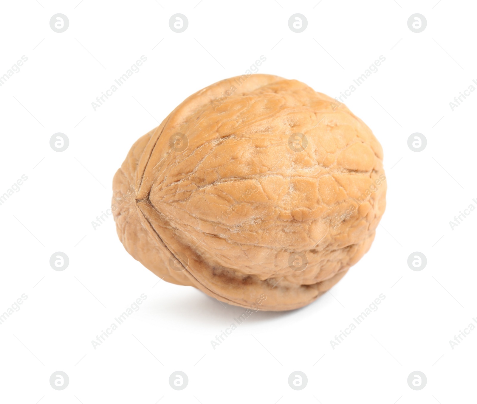 Photo of Whole walnut in shell isolated on white