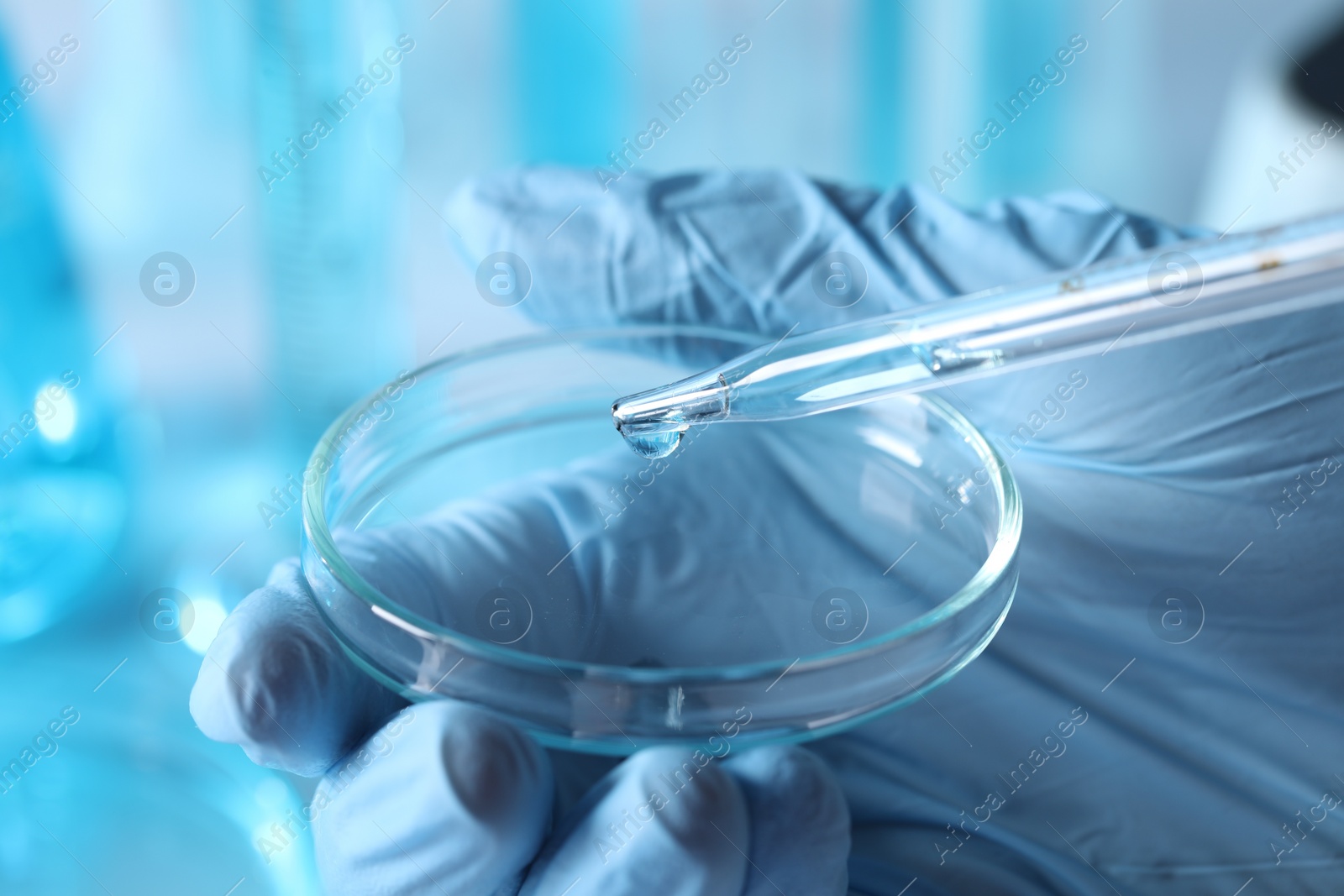 Photo of Scientist dripping liquid from pipette into petri dish in laboratory, closeup