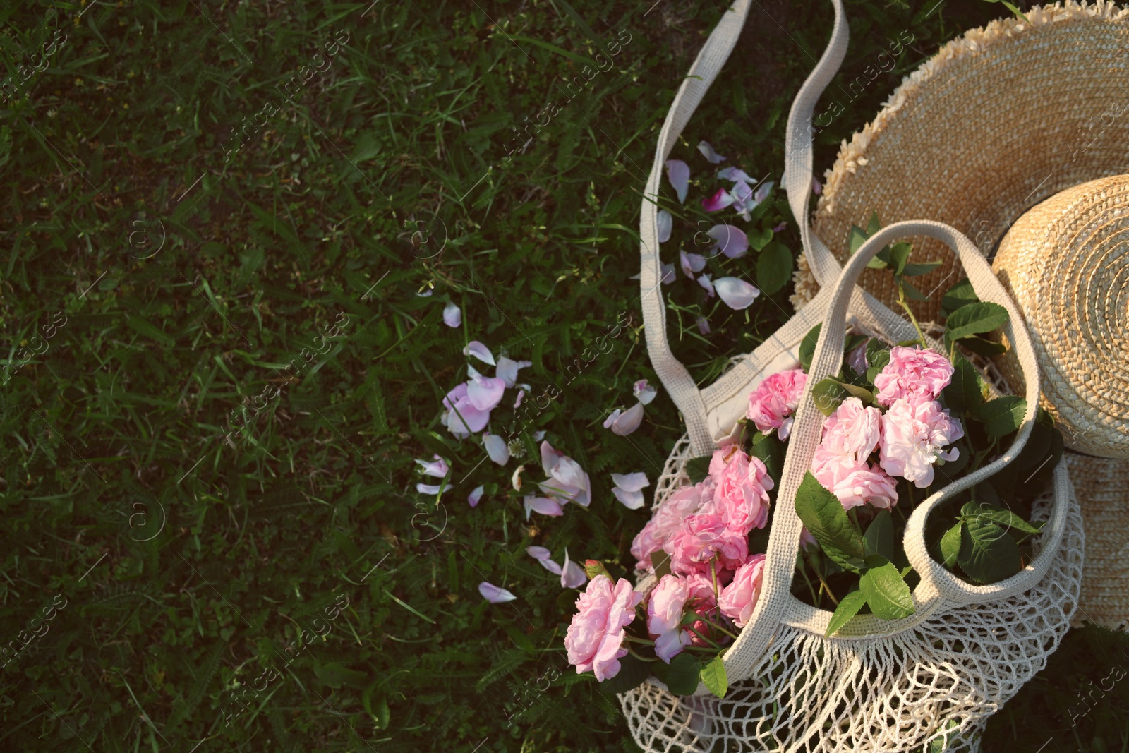 Photo of Straw hat and mesh bag with beautiful tea roses on green grass outdoors, flat lay. Space for text