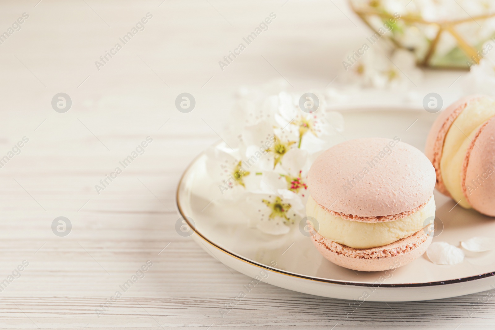 Photo of Delicious pink macarons and flowers on white wooden table, closeup. Space for text
