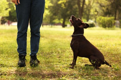 Photo of Woman with her cute German Shorthaired Pointer dog in park on spring day, closeup