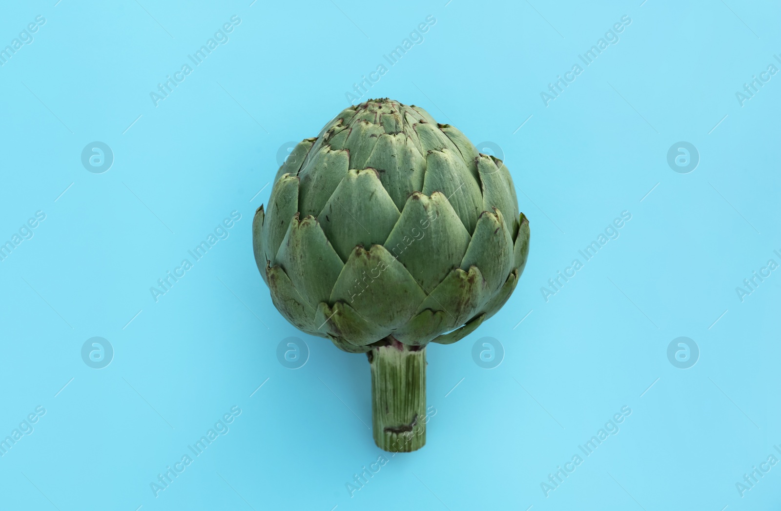 Photo of Whole fresh raw artichoke on light blue background, top view