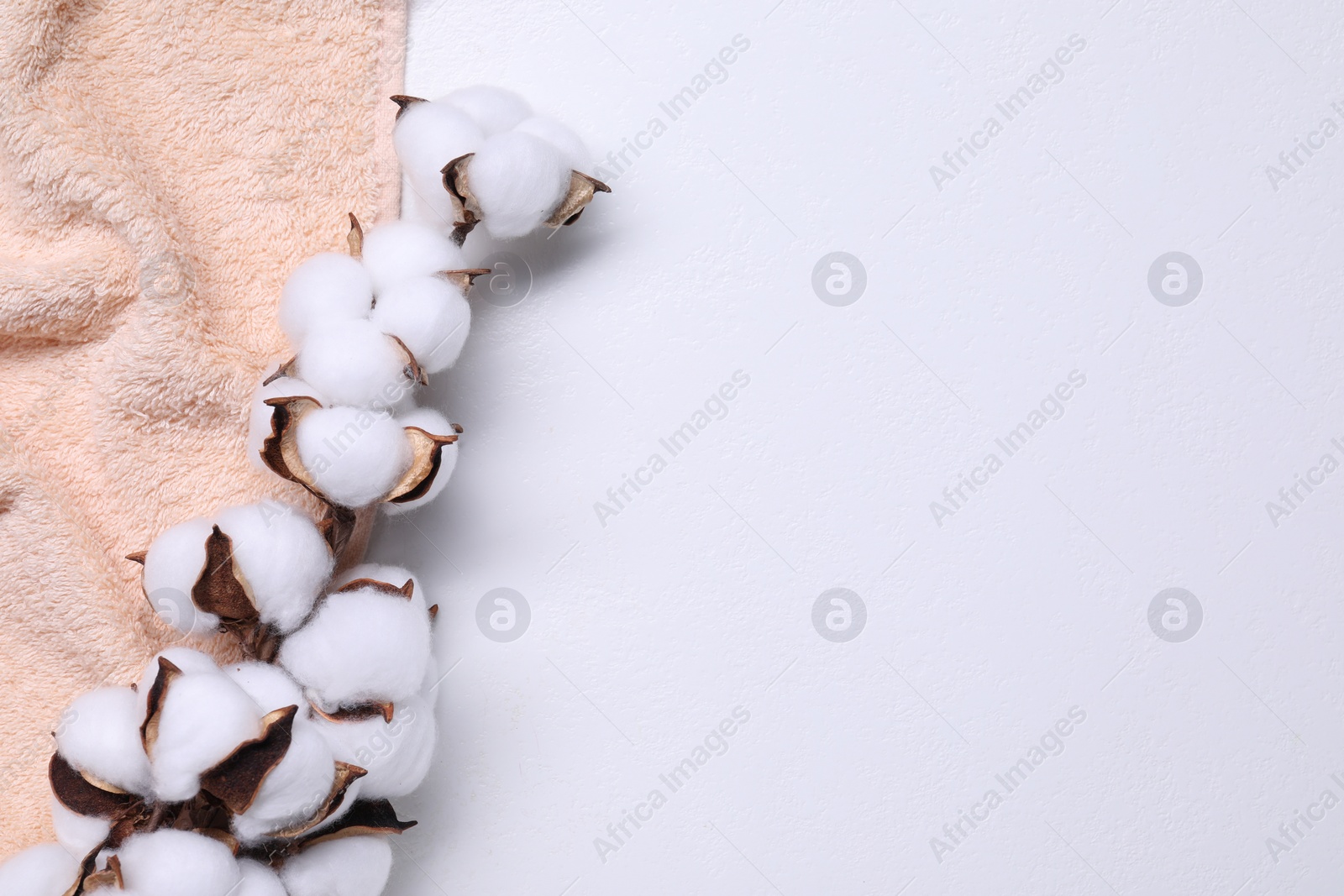 Photo of Cotton branch with fluffy flowers and beige terry towel on white background, top view. Space for text