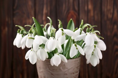 Beautiful snowdrops in vase against wooden wall, closeup