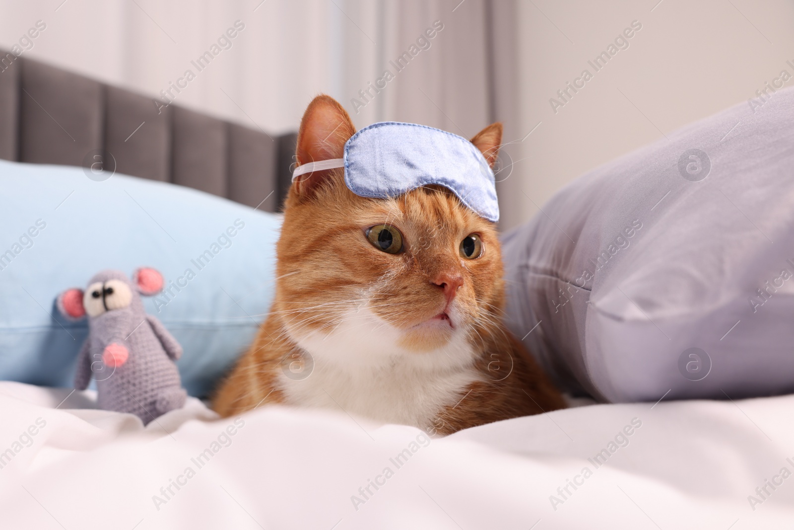 Photo of Cute ginger cat with sleep mask and crocheted mouse resting on bed