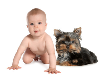 Image of Cute little baby with his pet on white background