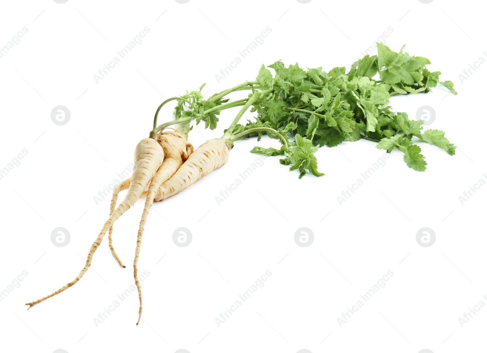 Photo of Tasty fresh ripe parsnips on white background