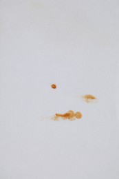 Photo of Stains of sauce on white fabric, top view