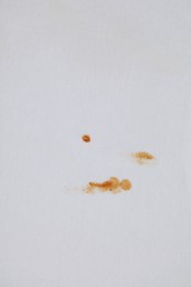 Stains of sauce on white fabric, top view