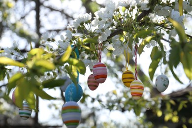 Beautifully painted Easter eggs hanging on blooming tree outdoors, closeup