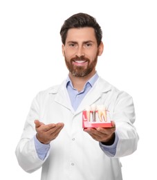 Photo of Dentist holding educational model of dental implant on white background