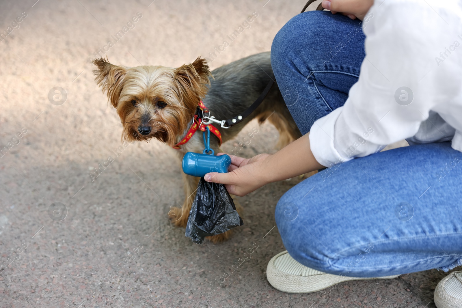 Photo of Woman with cute dog taking waste bag from holder outdoors, closeup