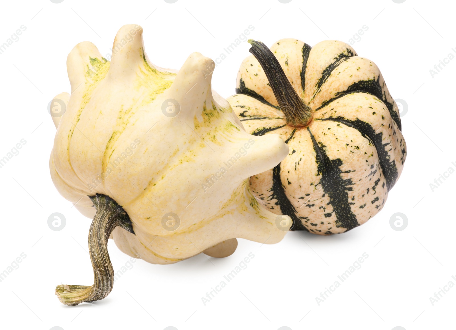 Photo of Two fresh ripe pumpkins isolated on white