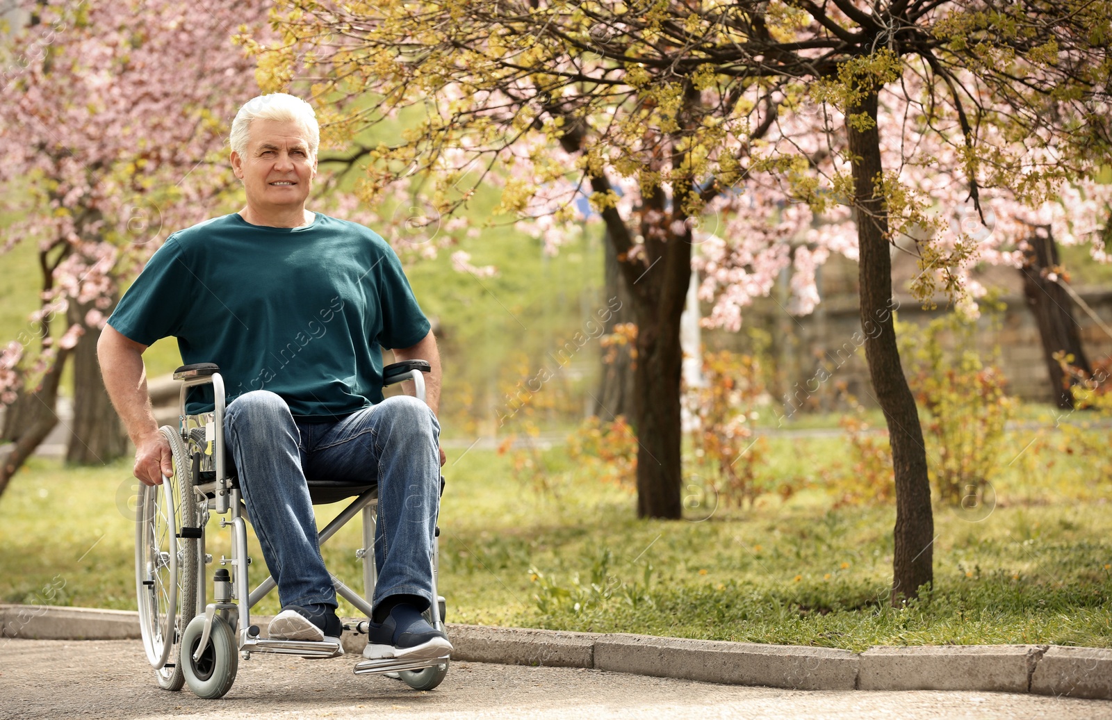 Photo of Senior man in wheelchair at park on sunny day