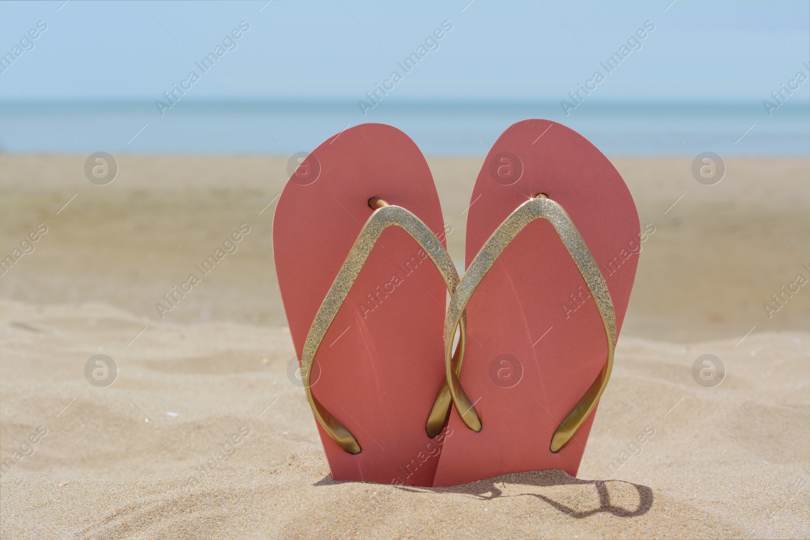 Photo of Stylish pink flip flops in sand near sea on sunny day