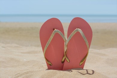 Stylish pink flip flops in sand near sea on sunny day