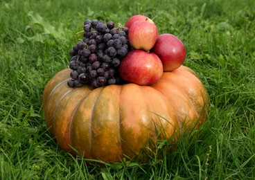 Photo of Ripe pumpkin, grapes and apples on green grass. Autumn harvest