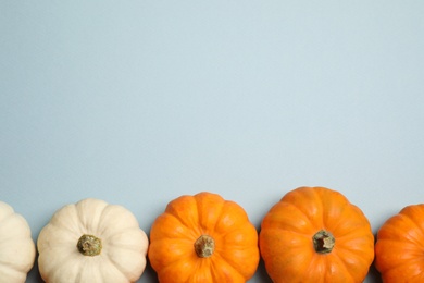 Photo of Different ripe pumpkins on light blue background, flat lay. Space for text