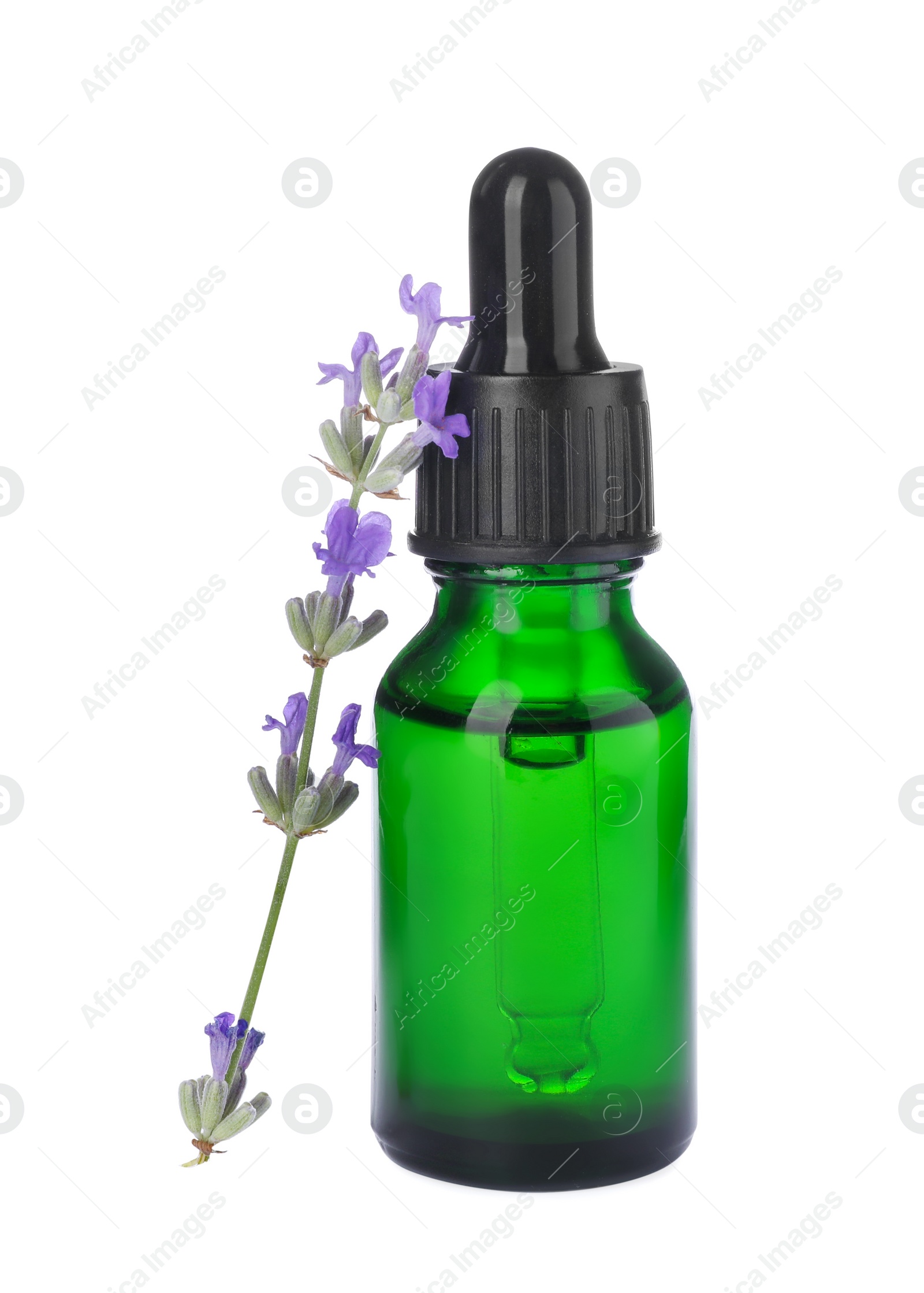 Photo of Bottle with natural lavender oil and flowers on white background