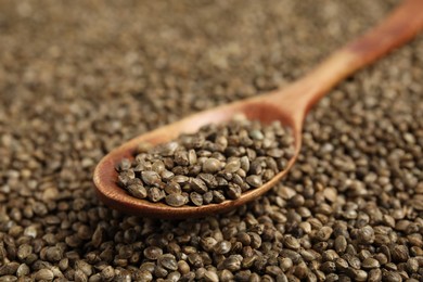 Photo of Wooden spoon and organic hemp seeds, closeup