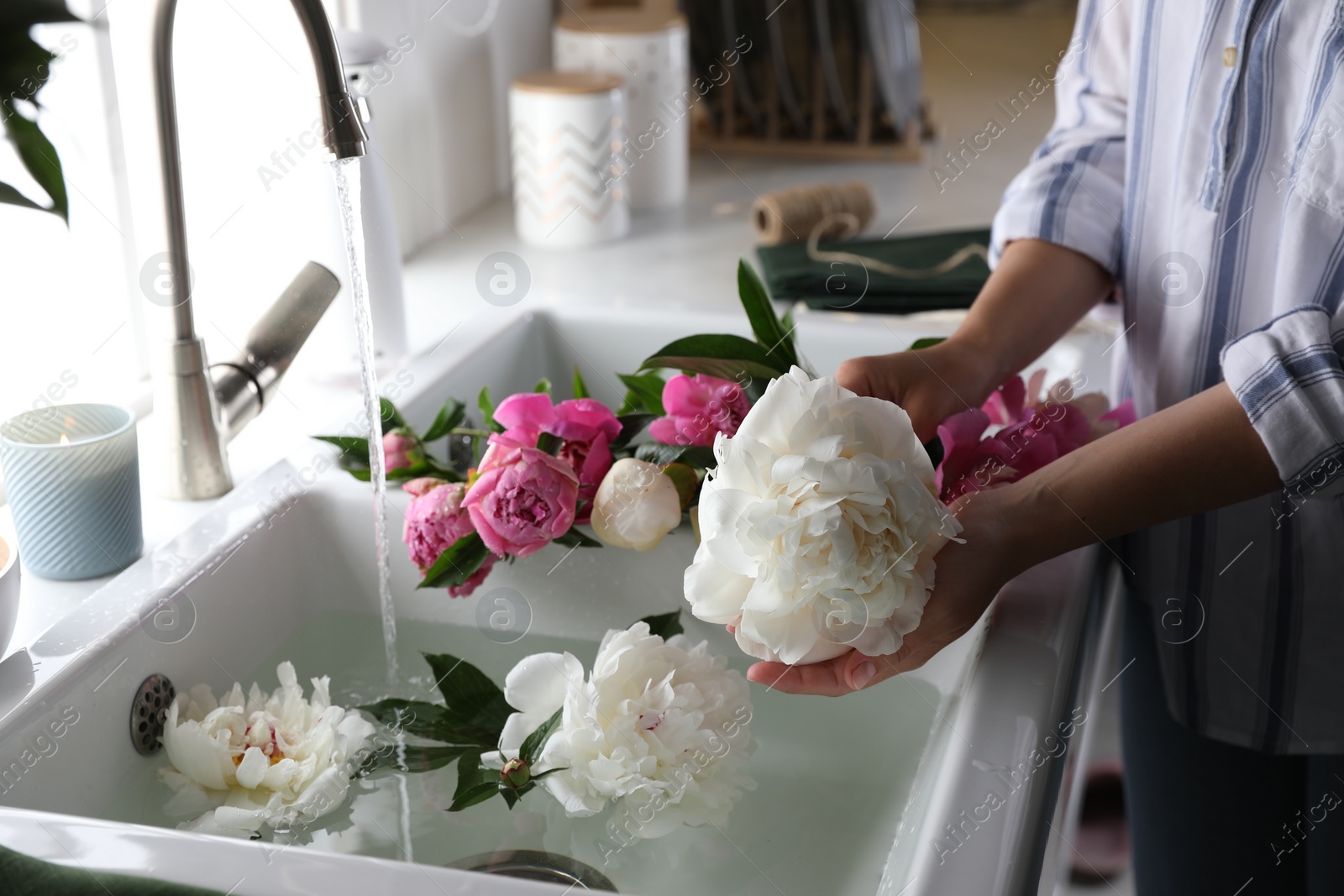 Photo of Woman with beautiful peonies near kitchen sink, closeup