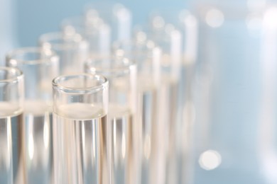 Laboratory analysis. Many glass test tubes on blurred background, closeup and space for text