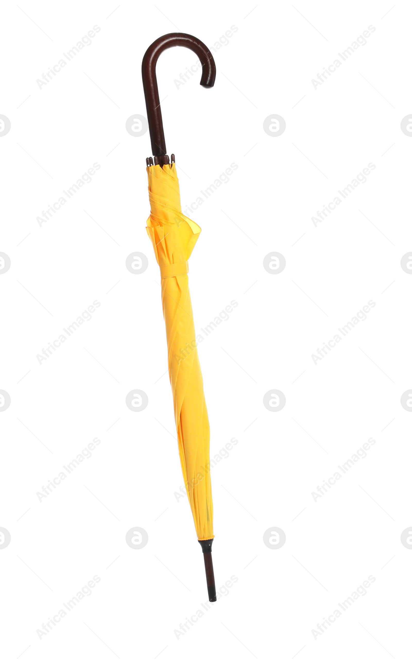 Photo of Beautiful umbrella on white background