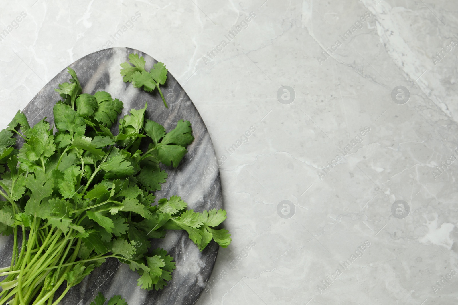 Photo of Bunch of fresh aromatic cilantro on light marble table, top view. Space for text