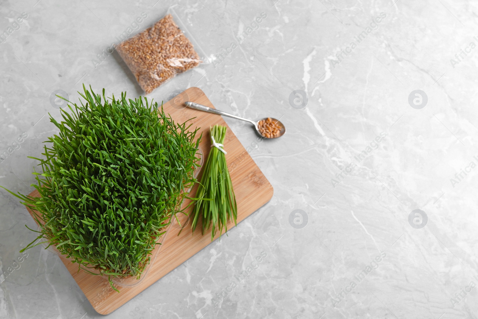 Photo of Flat lay composition with green wheat grass on table, space for text