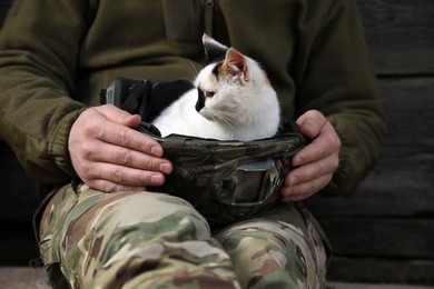 Soldier rescuing animal. Little stray cat sitting in helmet indoors, closeup